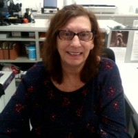 Diane Lawless