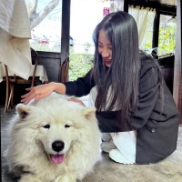 Linh Nguyen