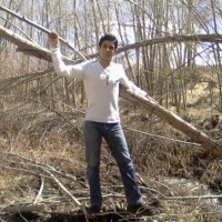 Afshin Shobeiri