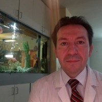 Ali Safavi