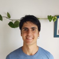 Joaquin Bustos