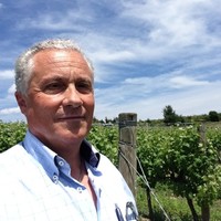Guido Emiliani