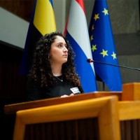 Zerremin Araz