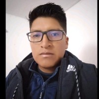 Milton Nils Pallarico Puñi