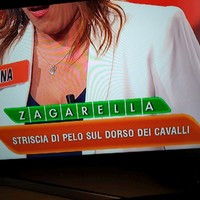 Salvatore Detto. Sam Zagarella
