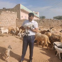 Vinod Tikoo