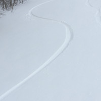 宮田学
