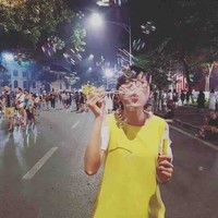 Hong Ngoc Dinh Thi