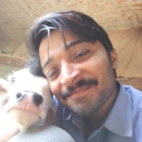 Saheb Saran
