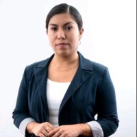 Alexis Arian Flores Castillo