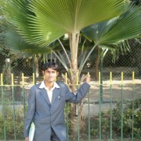 dr dhanesh kumar