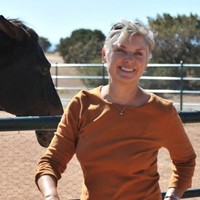 Lynne Matthes