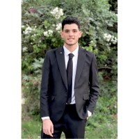 hesham mohamed hasan mahmoud