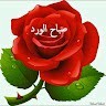 Hassan Bouaz