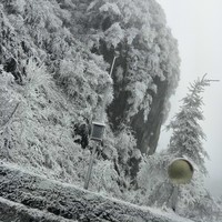 刘德川