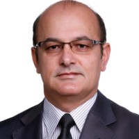 Assistant Professor  Rahel Hamad