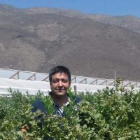 Francisco Roldan Rodriguez