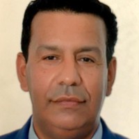 Boumediene Amraoui