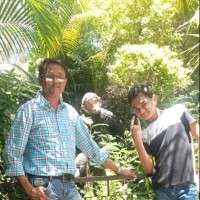 Vivek Sarfare
