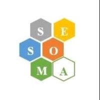 Team SESOMA