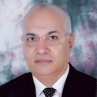 Nabil Naguib Faragalla