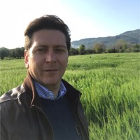 Giuseppe Ferraiuolo