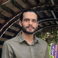 Seyed Ali Hosseini