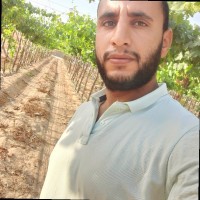 Abdelkhaliq Alsebaey