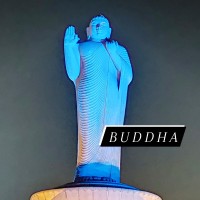 Krishna Radharapu