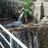 Berna Sirakaya