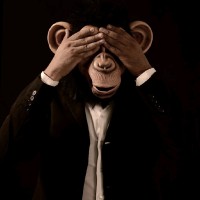 Mauricio Cevallos Amozurrutia