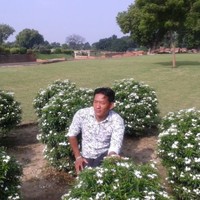 badri magar