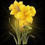 Neelam Singh