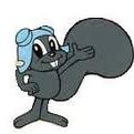 Rocky Squirrel