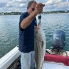 Peter scolaro