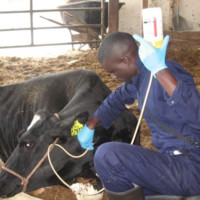 Tonny Kidega