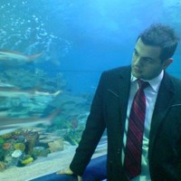 Sercan Sürek