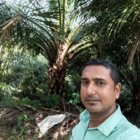 Amit Singh