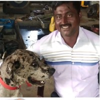 pandian rajan