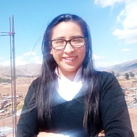 Medaly Juarez Condori