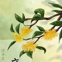 王慧敏