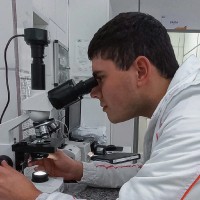 Alexandre Borges Baldissera