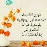 Mido Hafez