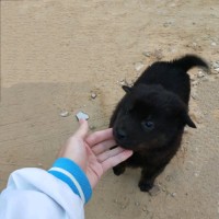 蒋冬华