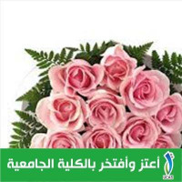 Raaeda Elwawi