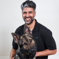Sumit Dhawan