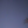 D B
