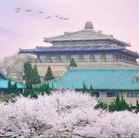 杨欣悦Violet