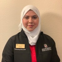Raneem Bizri