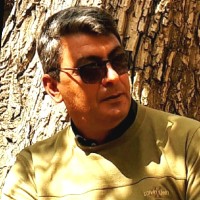 Mohamad Reza Samandari